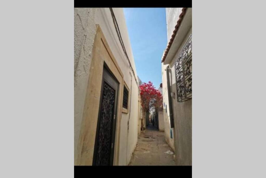 Apartament Dar El Halfaouine Tunis Zewnętrze zdjęcie